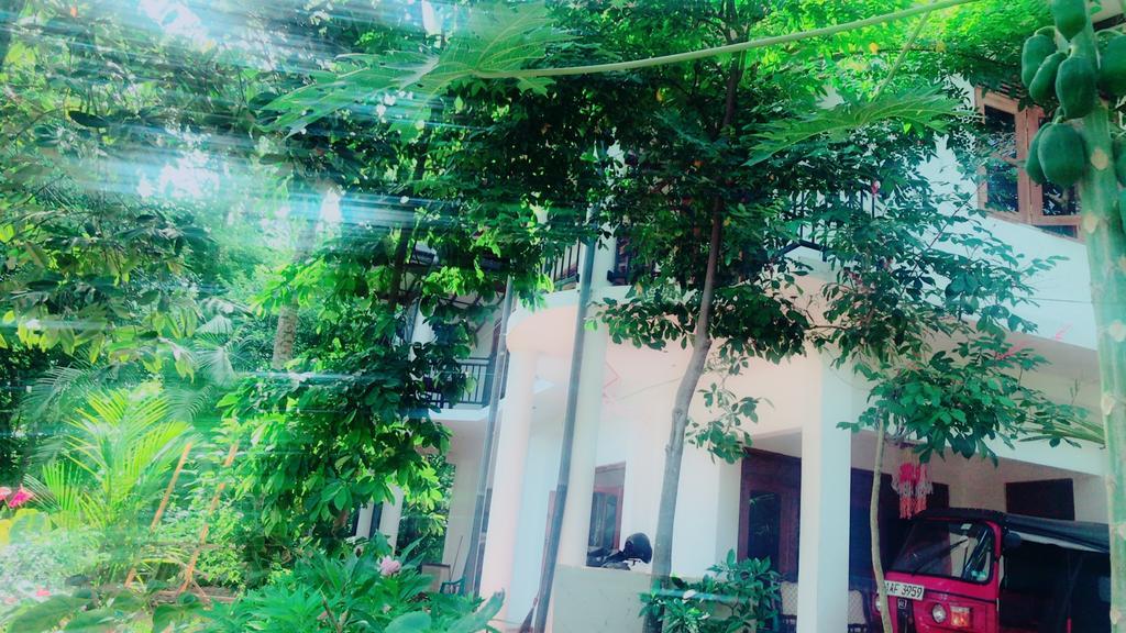 Mount Nature Villa ฮิกคาดูวา ภายนอก รูปภาพ