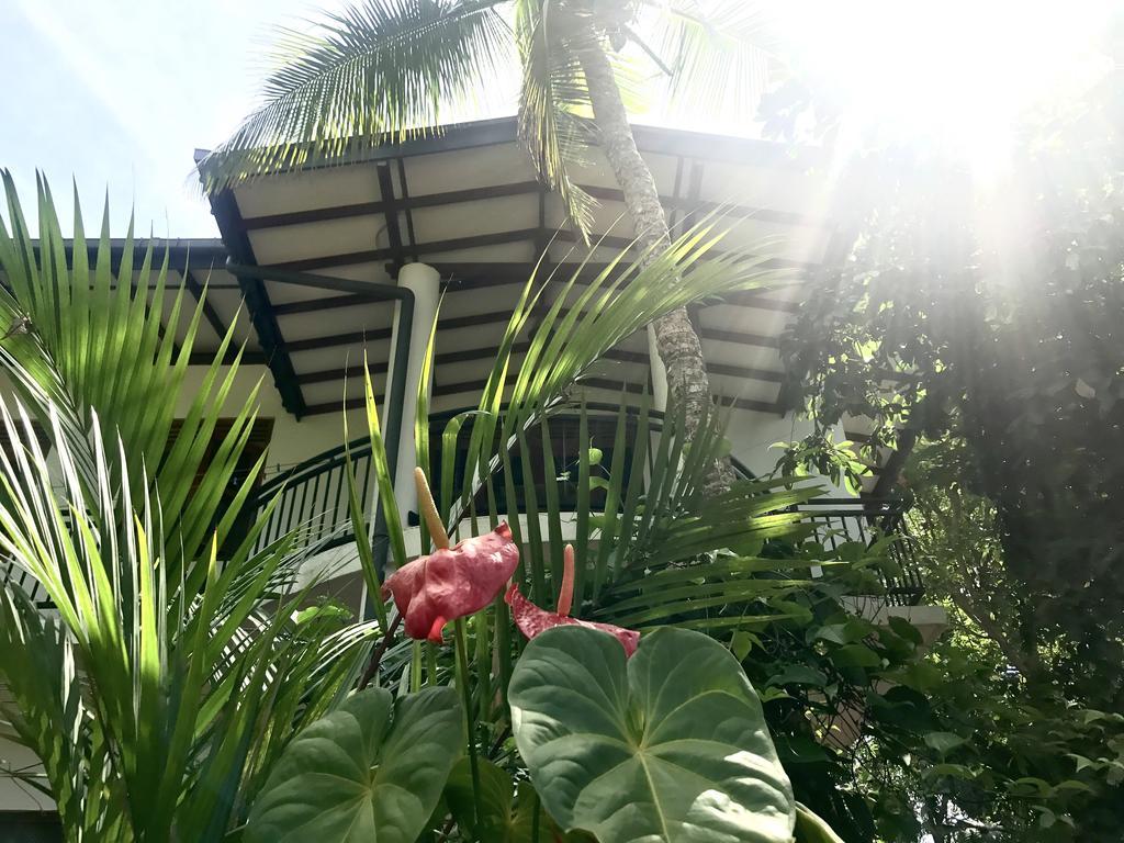 Mount Nature Villa ฮิกคาดูวา ห้อง รูปภาพ